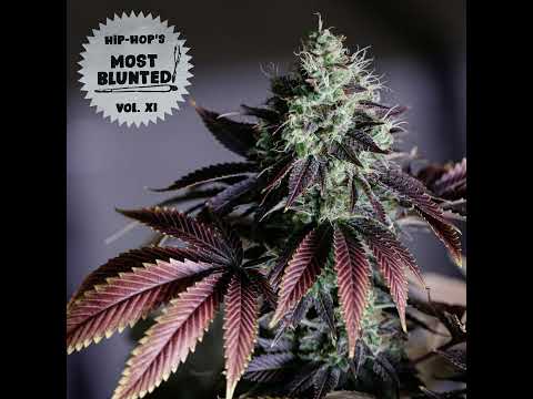 10 J Love ft  Action Bronson, Jay Steele & Take It   Marijuana Thon