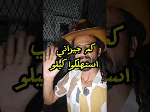 Yemeni Windows Media