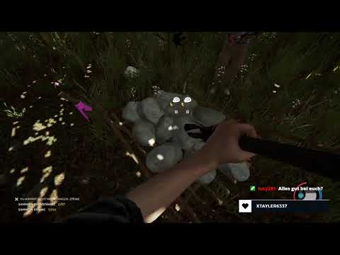 Unser kleiner privater Strand | The Forest | Part 40 | LoDM