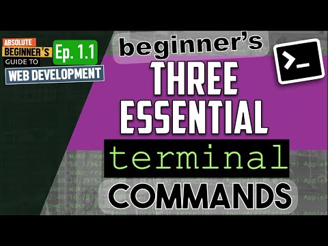 Terminal Tutorial: 3 Commands to Get Started