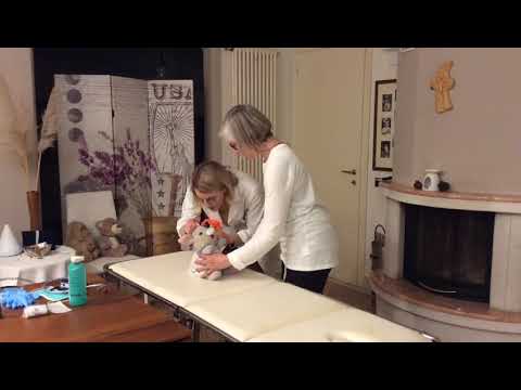 IL DOTTORE E L'INFERMIERA SONO MIEI AMICI (PT1/2)