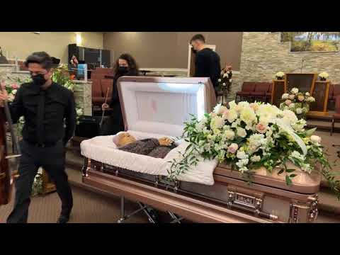 Stela Andrica - Priveghi