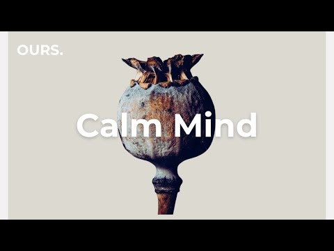 Chill House for a Calm Mind Focus | Mellow Flow