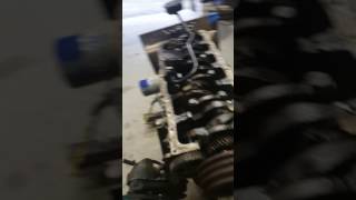 Timing Gear Sound Ford 300