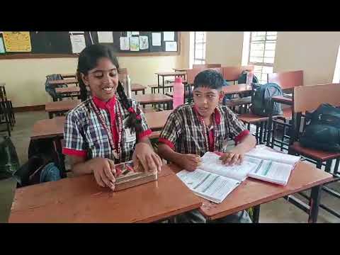 बडी सिस्टम
