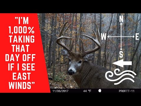 Why You Should ALWAYS Hunt An East Wind!!!