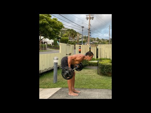 Day 360 FitPro Hawaii Workout - Curls + Rows (80-100 lbs.) - May 12, 2021, 6:03 pm