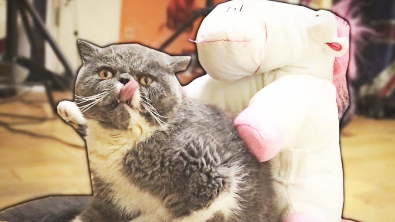 BONUS : BÊTISIER QUESTION TIME 12 ! thumbnail