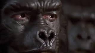 Watch Battle for the Planet of the Apes  APES DON&#39;T KILL APE