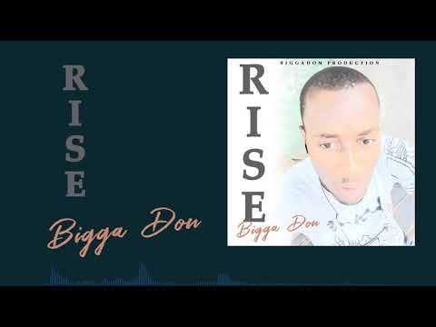 Bigga Don- Rise