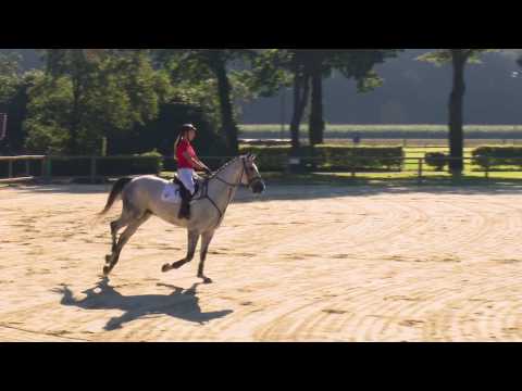 23 Calimero  Wallach v. Congress - Corrado I