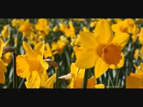 Blaenwern (Love Divine, All Loves Excelling)