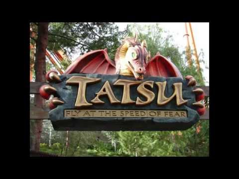 Six Flags - Magic Mountain - Tatsu POV (Full Ride) & Reaction Video (Great Commentary)