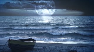 Sonido del Mar y Bosque