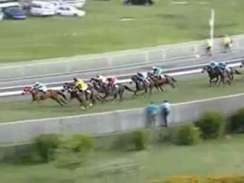Il Saggiatore - R.Burke - 2012 Mohammad Moorad Keerpah - Free Horse Racing Tips