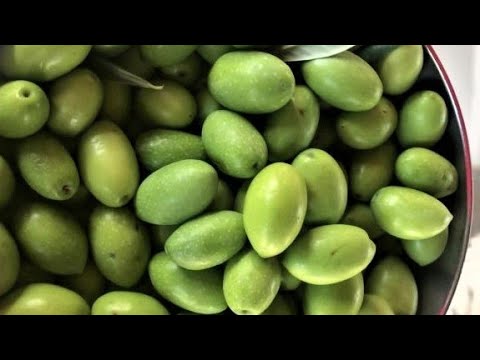 With this old school method you will have cracked green olives ready to eat in less then two weeks