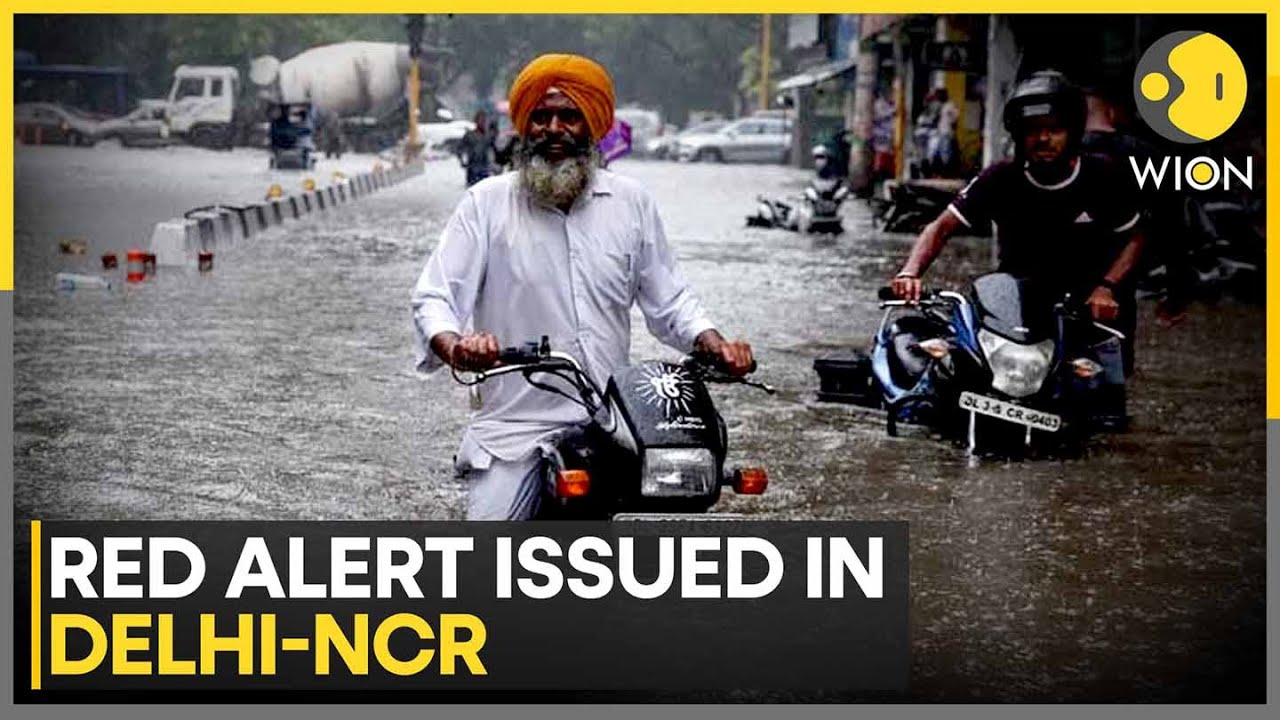 Delhi On Red Alert, Over 180 Flight Impacted | WION India At This Hour