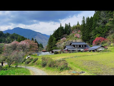 4K Japan Walk | Most Beautiful hidden Trail in Japan- Nagano Walking Tour