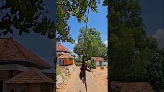 Download lagu golden kutilang bird #shortvideo mp3 Download lagu golden kutilang bird #shortvideo mp3