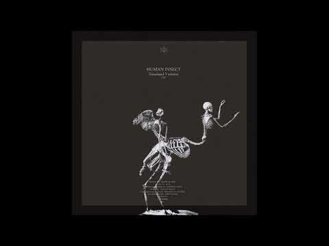 Human Insect - Generation Of A Vortice