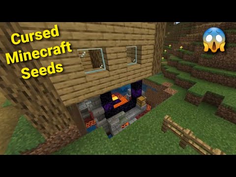Unbelievable Cursed Minecraft Seeds