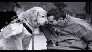 Empathetic Ears - Amatuer Composition