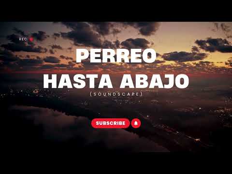 REGGAETON ACTUAL VS OLD SCHOOL 2024 SESSIONS - DJ ZYNK