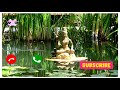 Om Namah Shivay Om Namah Shivay Whatsapp Status 4k Hd Video