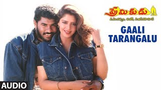 Gaali Tarangalu Full Song || Premikudu Songs | Prabhu Deva,Nagma | A.R Rahman,Rajasri | Telugu Songs