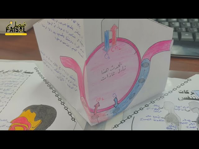 ملف الجهاز الهيكلي - ثلاثي الابعاد