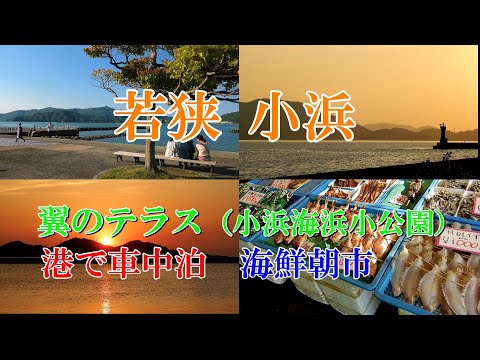 Terraza Wakasa Obama Tsubasa, Dormir en el coche en el puerto, Mercado Matutino de Mariscos (Centro de Pescado Wakasa Obama)
