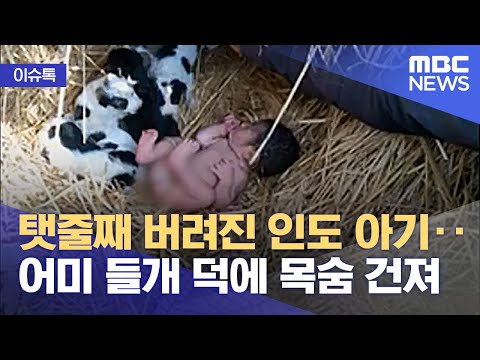 아이콘