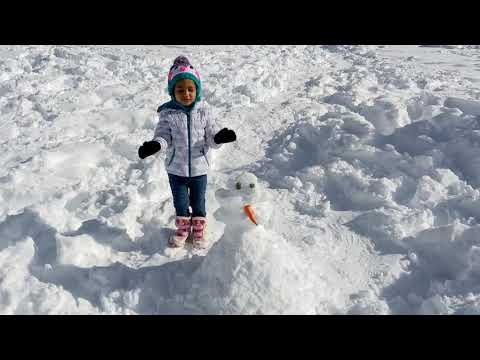 Mt Shasta : Jan 2021