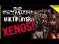 Can Warhammer 40,000 Space Marine 2 Multiplayer Look any better? Breakdown and Analysis