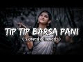 Tip Tip Barsa Pani Slowed Reverb Romantic Song Lo Fi Mohra Alka Yagnik Udit Narayan