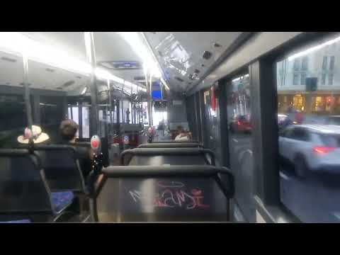 Transit Systems - 8253 - Mercedes 0500LE/Gemilang Ecocity[Leichhardt](431 - Glebe Point)