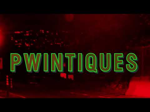 Land of Talk - Pwintiques [Official Music Video]