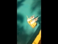 Suzi S Boat Sailing