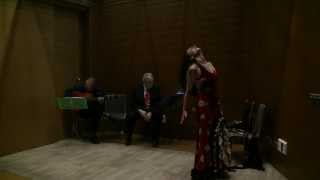 POESIA Y FLAMENCO - AHORA ANDARÁN DICIENDO - 7 DE FEBRERO DE 2014