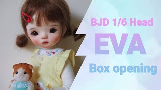 BJD 1/6 Head &quot;EVA&quot; Box Opening