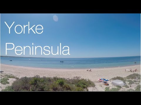 Yorke Peninsula - Ocean Life - Teaser