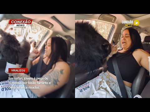 Vídeo: Em safári, jovem é pega de surpresa por bisão faminto e cena arranca risadas.