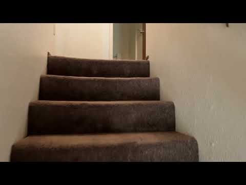 2976renn - Video 2 of 2