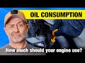 How Much Engine Oil Consumption Is Normal In A Modern Engine Auto Expert John Cadogan