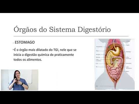 AUXILIAR VETERINÁRIO