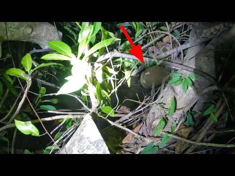 P1.Grabe jackpot kami sa gabi ang lalaki