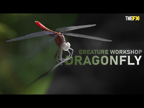 Creature Workshop Dragonfly | VFX Breakdown | TMEFX #wildlife #youtube #vfx #cgi #animation #insects