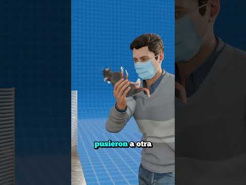 ¿Cómo afecta el entorno social a los seres vivos? 🐀🐁🥳