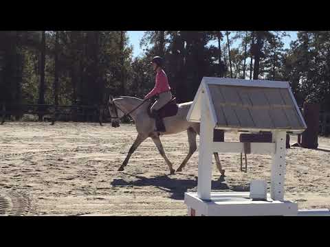 "Princess" Nejm Al Hadidi