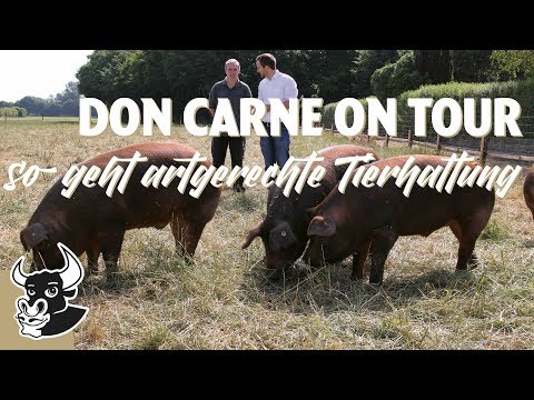 So funktioniert artgerechte Tierhaltung ❤️🐷 | DON CARNE ON TOUR